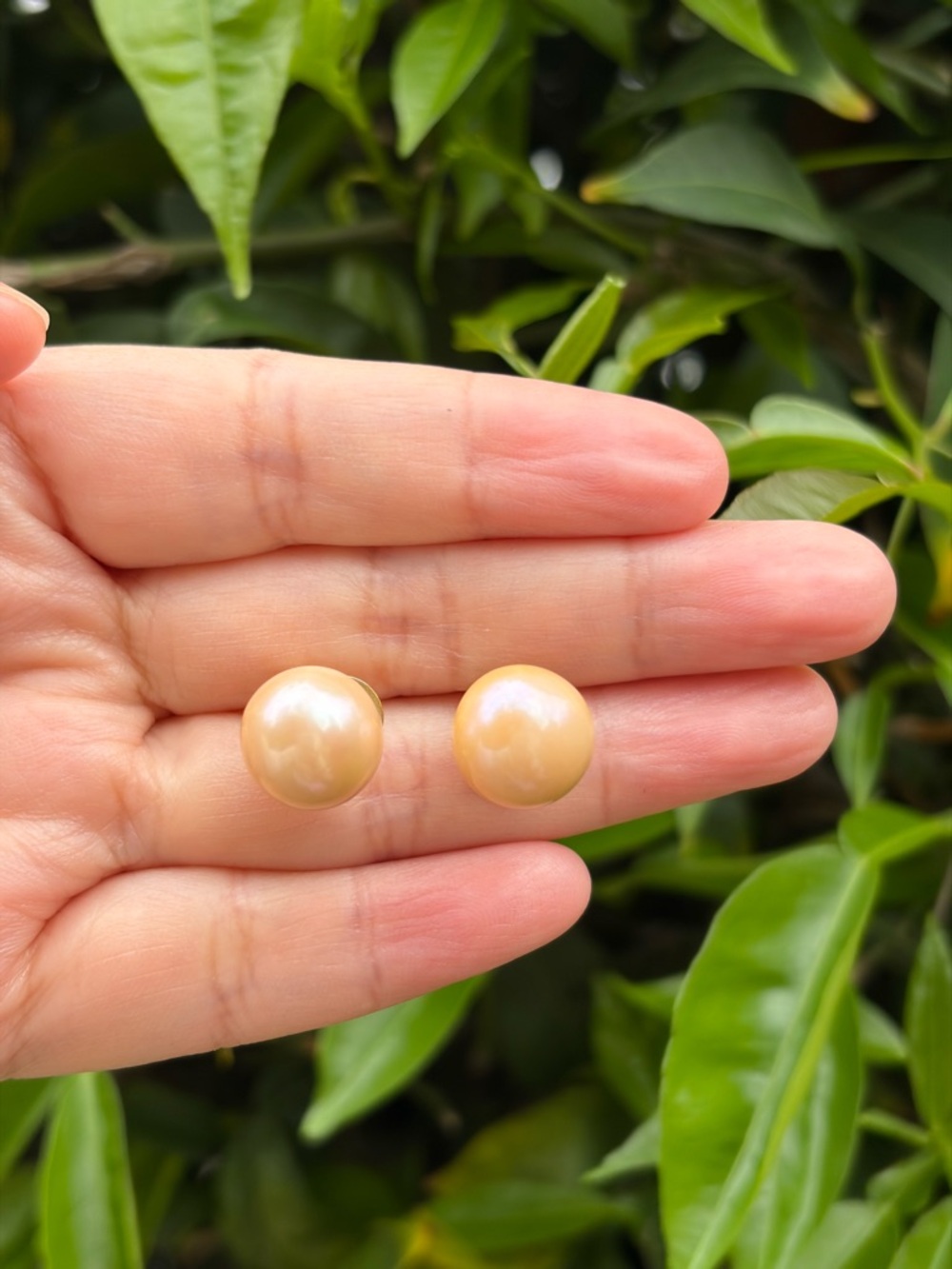 Genuine Edison Pearl Simple Pink/Peachy Stud Earrings - Micron Gold plated 12mm